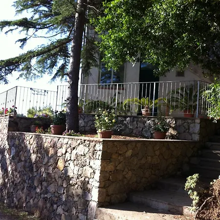 San Cerbone Apartment